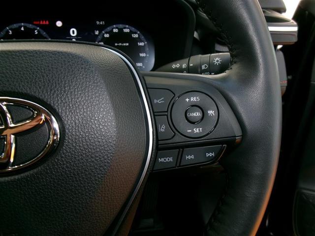 ＲＡＶ４ アドベンチャー　サンルーフ　４ＷＤ　フルセグ　メモリーナビ　バックカメラ　衝突被害軽減システム　ＥＴＣ　ドラレコ　ＬＥＤヘッドランプ（12枚目）