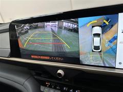 �Хå���˥����������ϥ�˥��������֤μ���ξ���������Ū�˳�ǧ�Ǥ��ޤ��� 4