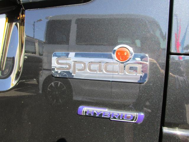 HYBRID X 3型 全方位カメラ コネクトナビ(24枚目)