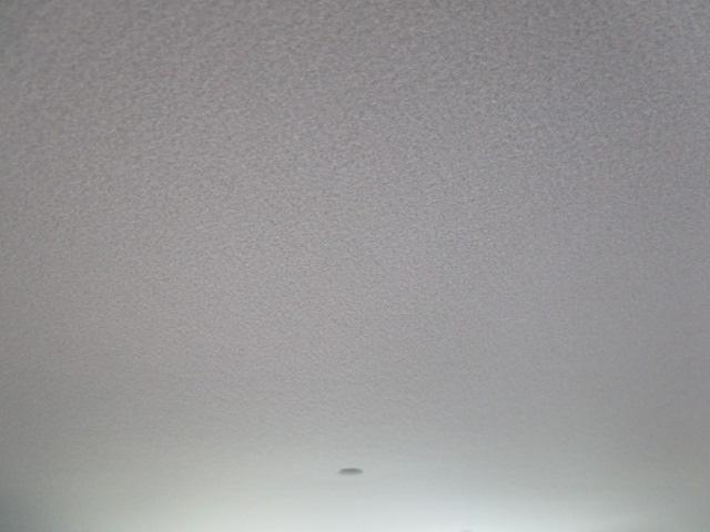 ハスラー タフワイルドターボ　３型（12枚目）