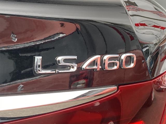 ＬＳ ＬＳ４６０　Ｆスポーツ　ドライブレコーダー　ＥＴＣ　クリアランスソナー　オートクルーズコントロール　バックカメラ　ナビ　ＴＶ　アルミホイール　オートマチックハイビーム　オートライト　ＨＩＤ　ヘッドライトウォッシャー　ＡＴ（11枚目）