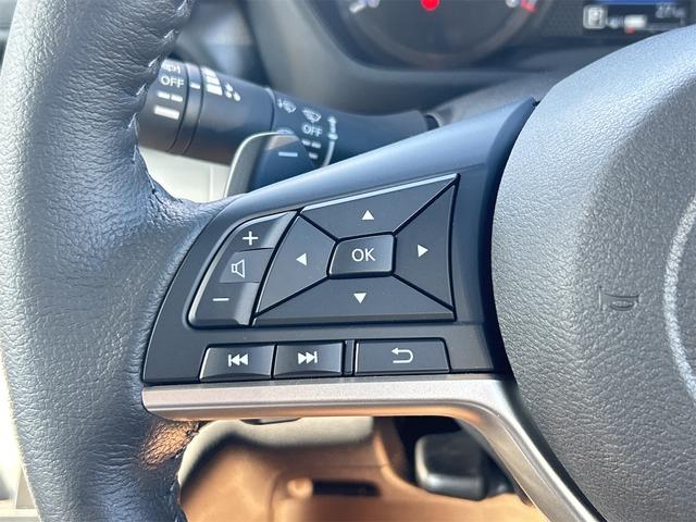 デリカミニ Ｔ　プレミアム　全周囲カメラ　両側電動スライドドア　オートクルーズコントロール　レーンアシスト　衝突被害軽減システム　オートライト　ＬＥＤヘッドランプ　スマートキー　アイドリングストップ　電動格納ミラー（41枚目）