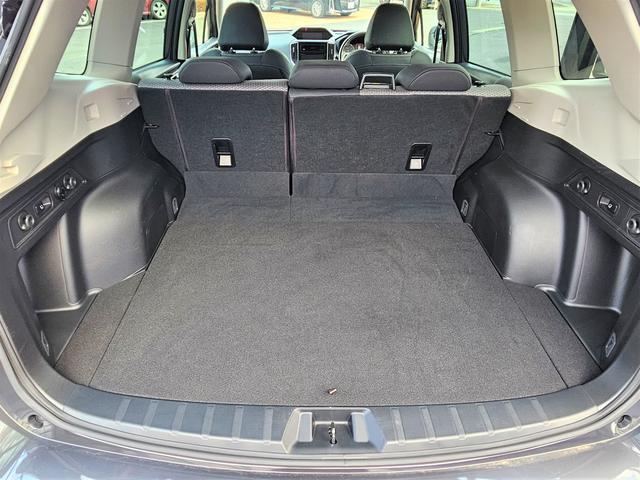 フォレスター ツーリング　アイサイト搭載車　ナビ　ＥＴＣ　ドラレコ（21枚目）