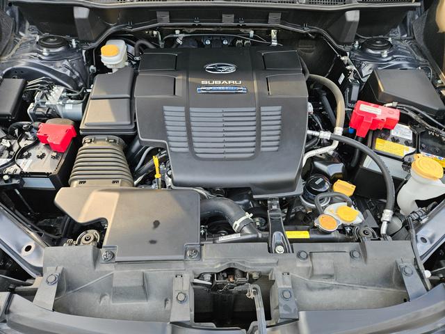 フォレスター ツーリング　アイサイト搭載車　ナビ　ＥＴＣ　ドラレコ（22枚目）