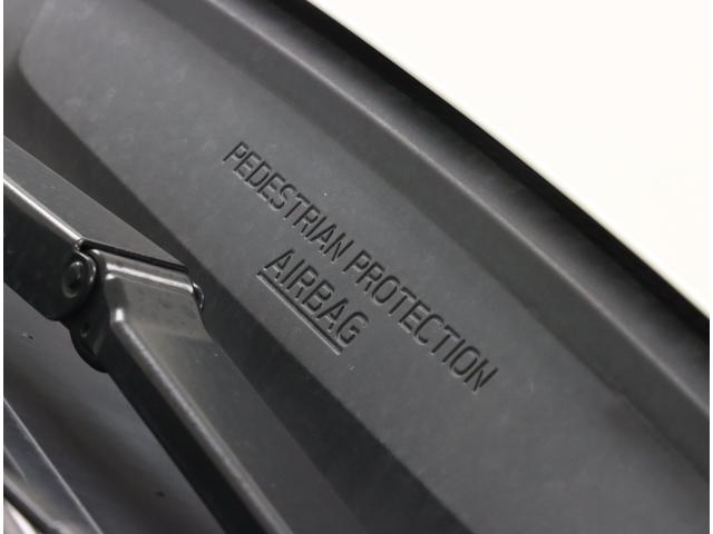 フォレスター Advance タンレザー ETC2.0 ドラレコ ナビ 純正8インチナビ ETC2.0 ドラレコ 運転席&助手席パワーシート パワーリヤゲート フロント&サイドビューモニター 後側方センサー アイサイトVer3 タンレザー スマートリヤビューミラー(46枚目)