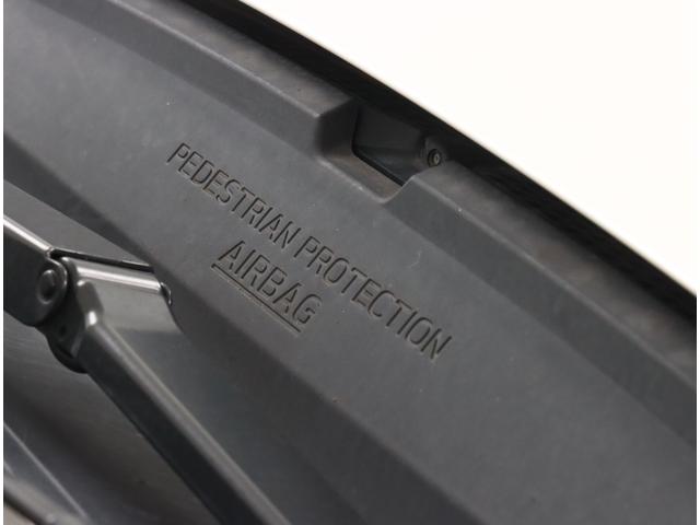 フォレスター STIスポーツ ダイヤトーン ETC2.0 新世代アイサイト 本革シート 全車速追従クルコン 後退ブレーキアシスト 停止保持 アダプティブドライビングビーム サイドカメラ リヤカメラ ナビ連動ドラレコ 前後録画 アイスト プッシュスタート 記録簿 ワンオナ(36枚目)