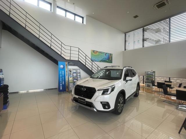 レヴォーグ １．６ＧＴ　アイサイト　ナビ　Ｒカメラ　ドラレコ　新品タイヤ　アイサイトＶｅｒ．３　純正前後ドラレコ　ＥＴＣ２．０　７インチダイヤトーンナビ　サイドカメラ　バックカメラ　新品タイヤ　ＡＷＤ　アイドリングストップ　１７インチアルミホイール　Ｂｌｕｅｔｏｏｔｈ接続（57枚目）