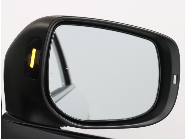 ＸＶ Ａｄｖａｎｃｅ　アイサイト　ナビ　バックカメラ　ＥＴＣ２．０　ドライブレコーダー（前後）　ドアハンドルプロテクター　ボディサイドモールディング　ドアバイザー　サイドカメラ　１８インチアルミホイール　キーレスエントリー　スマートキー　オートライト（25枚目）