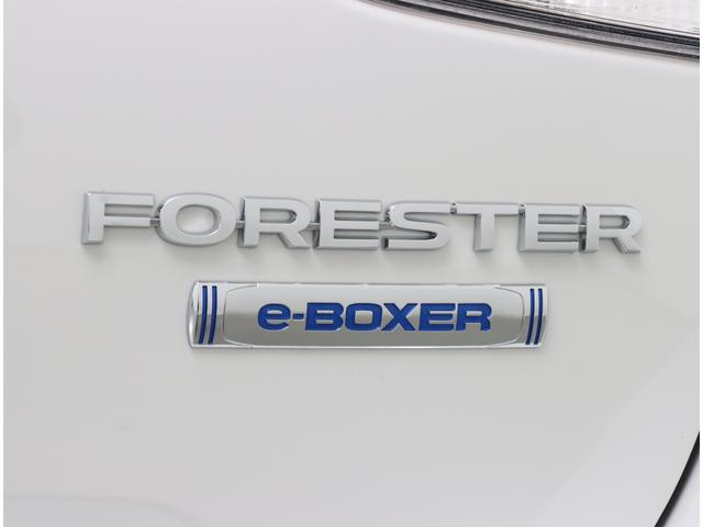 フォレスター アドバンス後期 ルーフレール サンルーフ ナビ ドラレコ Eタイプ ルーフレール サンルーフ 8インチナビ ETC2.0 前後ドラレコ e-BOXER ワンオーナー 新世代アイサイト 追従クルコン ツーリングアシスト X-MODE フロントコーナーセンサー(45枚目)