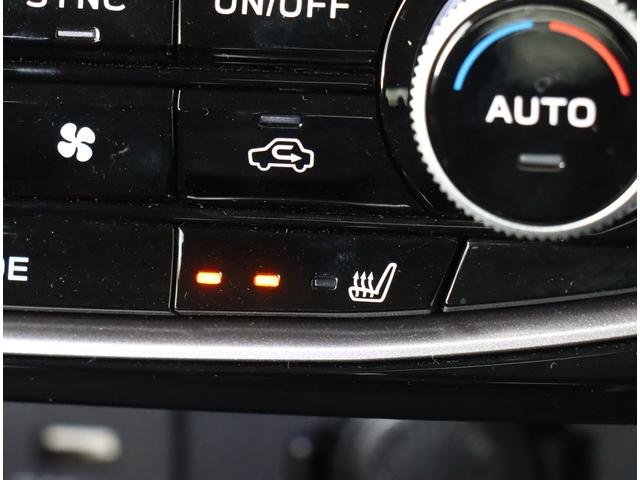 フォレスター ＸＴ－エディション　特別仕様車　ナビ　ＥＴＣ２．０　純正８インチパナソニックナビ　バックカメラ　スマートリヤビューミラー　ルーフレール　パワーリヤゲート　新世代アイサイト　ワンオーナー　禁煙車　Ｘ－ＭＯＤＥ　アダプティブドライビングビーム（29枚目）