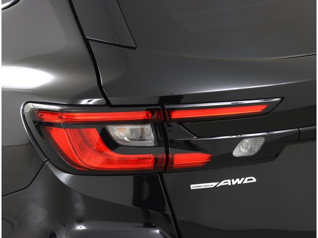 レヴォーグ ＳＴＩスポーツＥＸ　Ｒ６年式Ｄタイプ　ハーマンカードン　ナビ　ＥＴＣ２．０　前後ドラレコ　アイサイトＸ　追従クルコン　ツーリングアシスト　渋滞時ハンズオフ　パワーリヤゲート　ワンオーナー　禁煙車　アダプティブドライビングビーム　スマートリヤビューミラー（43枚目）