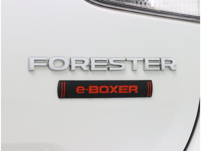 フォレスター Ｘブレイク　リアモニター　パワーリヤゲート　ナビ　Ｒカメラ　後期Ｅタイプ　新世代アイサイト　アイサイトセイフティプラス　ＥＴＣ２．０　コーナーセンサー　カーゴステップパネル　ワンオーナー　記録簿　前後ドラレコ（44枚目）