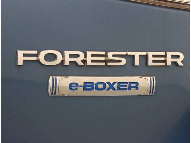 フォレスター Ａｄｖａｎｃｅ　ＥｙｅＳｉｇｈｔ搭載車　８型ナビ　新品タイヤ　ダイアトーン８インチナビ　スマートリヤビューミラー　パワーリヤゲート　フロント・サイド・バックカメラ　シートヒーター　ルーフレール　プッシュスタート　ＬＥＤライナー　ワンオーナー　寒冷地仕様（40枚目）