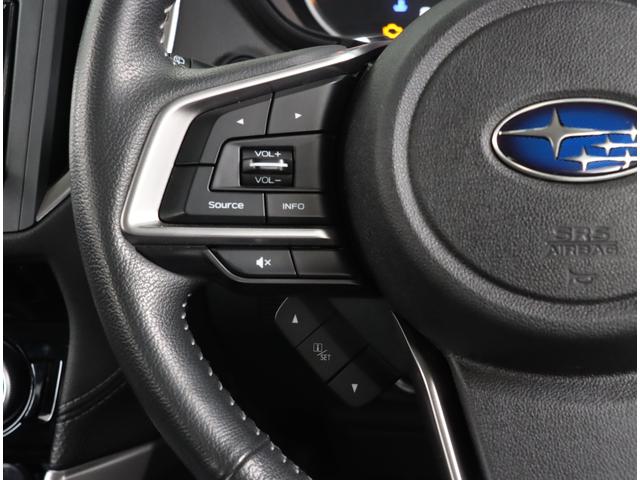 フォレスター ツーリング　視界拡張　社外ナビ　バックカメラ　ＥＴＣ２．０　２．５Ｌガソリン・ＡＷＤ・キーレスアクセス＆プッシュスタート・パワーシート（運転席／助手席）・オート格納ミラー・・アイサイトセイフティプラス（運転支援・視界拡張）（22枚目）