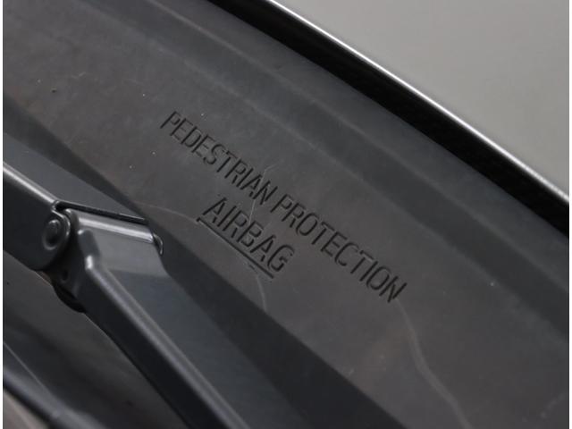 フォレスター ツーリング　視界拡張　社外ナビ　バックカメラ　ＥＴＣ２．０　２．５Ｌガソリン・ＡＷＤ・キーレスアクセス＆プッシュスタート・パワーシート（運転席／助手席）・オート格納ミラー・・アイサイトセイフティプラス（運転支援・視界拡張）（42枚目）