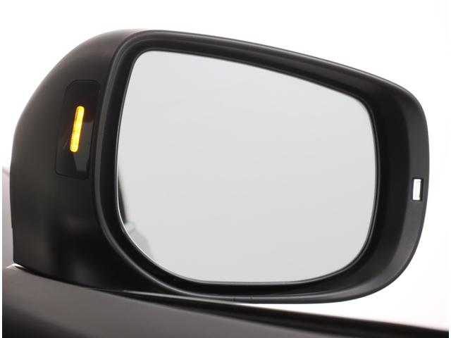 フォレスター ＳＰＯＲＴ　アイサイト　パワーリヤゲート　スマートリヤビュー　ダイアトーン８インチナビ　フロント・サイド・バックカメラ　ナビ連動前後ドラレコ　ＥＴＣ２．０　ＳＴＩドアハンドルプロテクター　ＳＴＩシフトノブ　リヤゲートプロテクター　ＬＥＤライナー　ワンオーナー（33枚目）