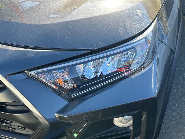 RAV4 アドベンチャー 4WD ドライブレコーダー バックカメラ オートクルーズコントロール レーンアシスト パワーシート 衝突被害軽減システム ナビ オートマチックハイビーム オートライト LEDヘッドランプ(16枚目)