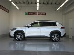 饯 ϥ֥åɡڡܳץȡͷڸ¡¥˥ 0401142A20251122T001 2