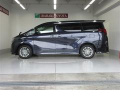 ����ե����ɥϥ��֥�å� �ӣҡ��åѥå��������ﳲ�ڸ��֥졼���������Хå����ѥ���ƥ���� 0401142A20260121T003 2