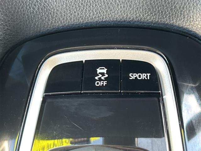 カローラツーリング Ｇ－Ｘ　ドライブレコーダー　ＥＴＣ　バックカメラ　ナビ　ＴＶ　オートクルーズコントロール　衝突被害軽減システム　アルミホイール　オートマチックハイビーム　オートライト　ＬＥＤヘッドランプ　スマートキー（39枚目）