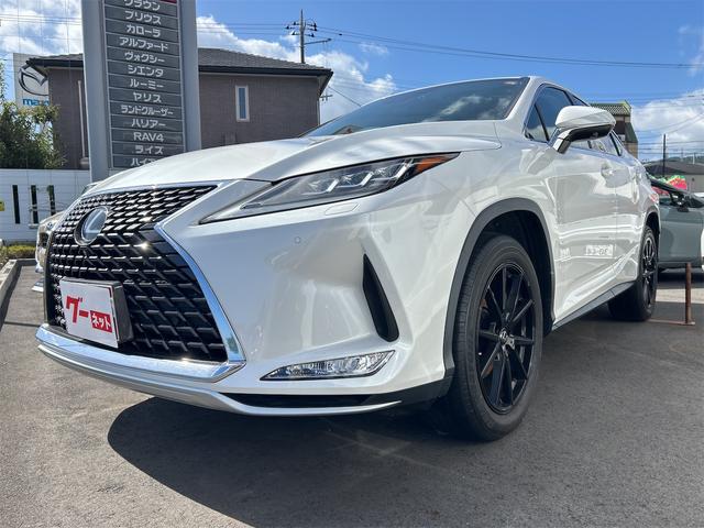 ＲＸ ＲＸ３００　バージョンＬ　ドライブレコーダー　全周囲カメラ　クリアランスソナー　オートクルーズコントロール　レーンアシスト　パワーシート　衝突被害軽減システム　サンルーフ　ナビ　ＴＶ　オートマチックハイビーム　オートライト（12枚目）