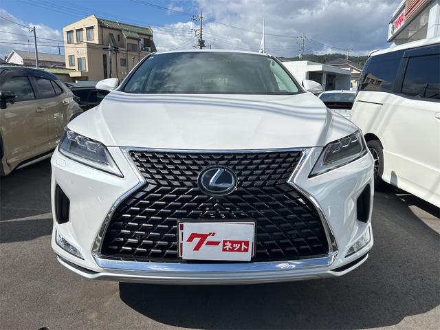 ＲＸ ＲＸ３００　バージョンＬ　ドライブレコーダー　全周囲カメラ　クリアランスソナー　オートクルーズコントロール　レーンアシスト　パワーシート　衝突被害軽減システム　サンルーフ　ナビ　ＴＶ　オートマチックハイビーム　オートライト（13枚目）