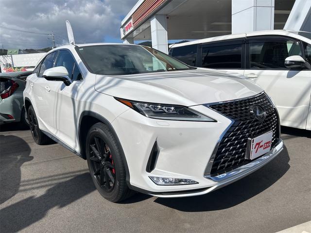 ＲＸ ＲＸ３００　バージョンＬ　ドライブレコーダー　全周囲カメラ　クリアランスソナー　オートクルーズコントロール　レーンアシスト　パワーシート　衝突被害軽減システム　サンルーフ　ナビ　ＴＶ　オートマチックハイビーム　オートライト（14枚目）