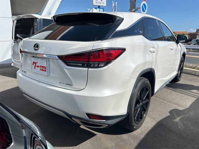 ＲＸ ＲＸ３００　バージョンＬ　ドライブレコーダー　全周囲カメラ　クリアランスソナー　オートクルーズコントロール　レーンアシスト　パワーシート　衝突被害軽減システム　サンルーフ　ナビ　ＴＶ　オートマチックハイビーム　オートライト（18枚目）