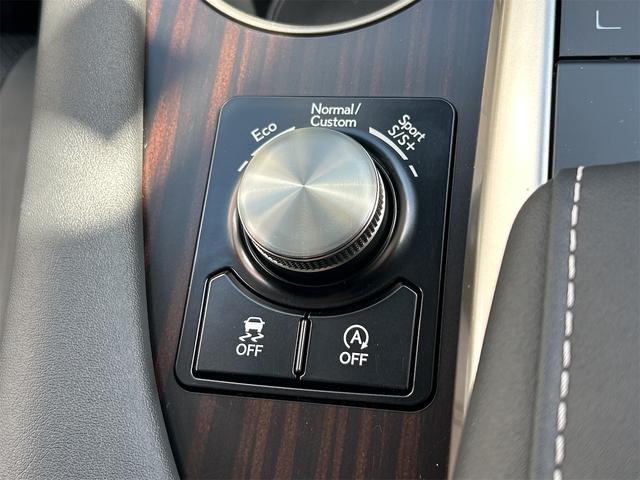 ＲＸ ＲＸ３００　バージョンＬ　ドライブレコーダー　全周囲カメラ　クリアランスソナー　オートクルーズコントロール　レーンアシスト　パワーシート　衝突被害軽減システム　サンルーフ　ナビ　ＴＶ　オートマチックハイビーム　オートライト（47枚目）