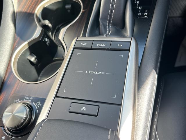 ＲＸ ＲＸ３００　バージョンＬ　ドライブレコーダー　全周囲カメラ　クリアランスソナー　オートクルーズコントロール　レーンアシスト　パワーシート　衝突被害軽減システム　サンルーフ　ナビ　ＴＶ　オートマチックハイビーム　オートライト（48枚目）