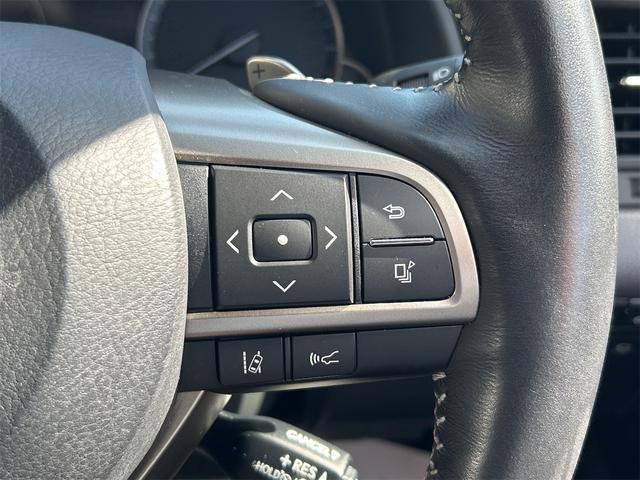 ＲＸ ＲＸ３００　バージョンＬ　ドライブレコーダー　全周囲カメラ　クリアランスソナー　オートクルーズコントロール　レーンアシスト　パワーシート　衝突被害軽減システム　サンルーフ　ナビ　ＴＶ　オートマチックハイビーム　オートライト（50枚目）