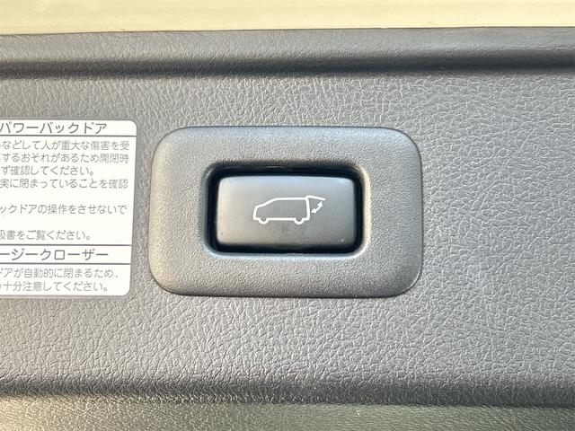 アルファードハイブリッド Ｓ　タイプゴールド　４ＷＤ　ドライブレコーダー　ＥＴＣ　バックカメラ　ナビ　ＴＶ　オートクルーズコントロール　レーンアシスト　衝突被害軽減システム　両側電動スライドドア　オートマチックハイビーム（24枚目）