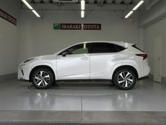 �Σ� �Σأ������衡���ѥ��������å����ե륻���ԣ֡��̣ţĥإåɥ饤�ȡ�������ɻ����� 0401146A20260122T002 2