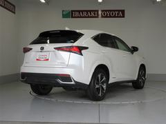 �Σ� �Σأ������衡���ѥ��������å����ե륻���ԣ֡��̣ţĥإåɥ饤�ȡ�������ɻ����� 0401146A20260122T002 3