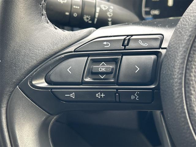 アクア Z 当社試乗車歴 ドライブレコーダー 全周囲カメラ ナビ TV オートクルーズコントロール レーンアシスト パークアシスト 衝突被害軽減システム オートマチックハイビーム オートライト(51枚目)