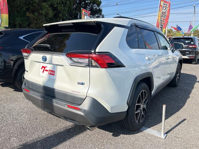 RAV4 ハイブリッドG 4WD ドライブレコーダー バックカメラ クリアランスソナー オートクルーズコントロール レーンアシスト パワーシート 衝突被害軽減システム ナビ TV オートマチックハイビーム オートライト(17枚目)