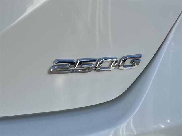 マークX 250G リラックスセレ・ブラックレザーリミテッド ETC バックカメラ ナビ TV アルミホイール オートライト HID AT シートヒーター スマートキー 電動格納ミラー 盗難防止システム パワーシート 革シート CD(23枚目)