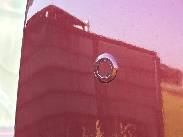 ルーミー Ｘ　ドライブレコーダー　ＥＴＣ　バックカメラ　ＴＶ　両側スライド・片側電動　クリアランスソナー　衝突被害軽減システム　オートライト　スマートキー　電動格納ミラー　ＣＶＴ　盗難防止システム　衝突安全ボディ（30枚目）