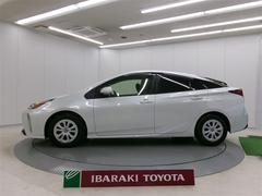 �ץꥦ�� �ӥ����եƥ��ץ饹�ɣ� 0401150A20260130T001 2