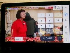 ������ �ϥ��֥�åɣڡ�ξ¦�ѥ凉��ɥ����ɥ饤�֥쥳�������奫��顡����� 0401151A20260413T001 5