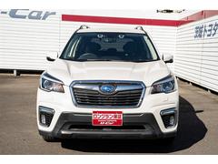 �ե��쥹���� �ץ�ߥ��ࡡ���ͷڸ��¡�������ɻߡ������ɻ����֡����գ� 0401152A20260118T001 2