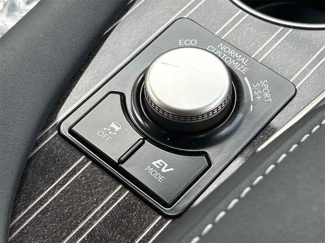 ＲＸ ＲＸ４５０ｈ　バージョンＬ　４ＷＤ　ドライブレコーダー　バックカメラ　オートクルーズコントロール　レーンアシスト　パワーシート　衝突被害軽減システム　ナビ　ＴＶ　オートマチックハイビーム（58枚目）
