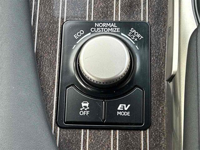 ＲＸ ＲＸ４５０ｈ　バージョンＬ　４ＷＤ　ドライブレコーダー　バックカメラ　オートクルーズコントロール　レーンアシスト　パワーシート　衝突被害軽減システム　ナビ　ＴＶ　オートマチックハイビーム（59枚目）