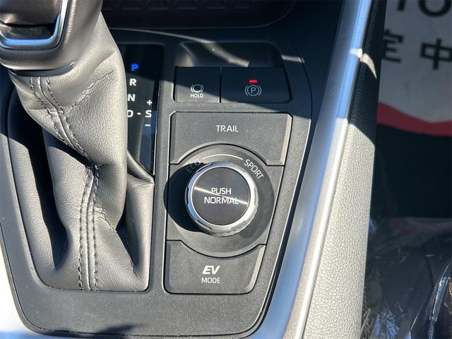 RAV4 ハイブリッドG 4WD ドライブレコーダー 全周囲カメラ クリアランスソナー オートクルーズコントロール レーンアシスト パワーシート 衝突被害軽減システム ナビ オートマチックハイビーム オートライト(45枚目)