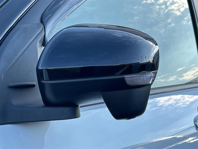 ライズ Ｚ　ドライブレコーダー　全周囲カメラ　オートクルーズコントロール　レーンアシスト　衝突被害軽減システム　ＴＶ　オートライト　ＬＥＤヘッドランプ　スマートキー　アイドリングストップ（47枚目）