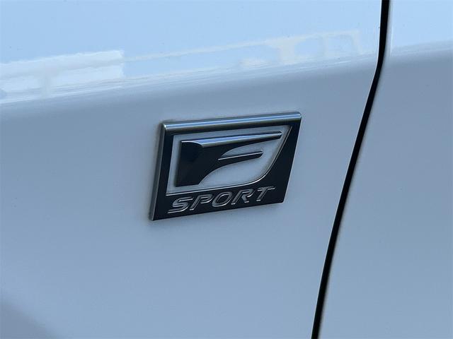 ＲＸ ＲＸ４５０ｈ　Ｆスポーツ　４ＷＤ　ドライブレコーダー　全周囲カメラ　オートクルーズコントロール　レーンアシスト　パワーシート　衝突被害軽減システム　ナビ　ＴＶ　オートマチックハイビーム　オートライト（35枚目）