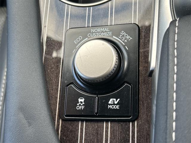 ＲＸ ＲＸ４５０ｈ　Ｆスポーツ　４ＷＤ　ドライブレコーダー　全周囲カメラ　オートクルーズコントロール　レーンアシスト　パワーシート　衝突被害軽減システム　ナビ　ＴＶ　オートマチックハイビーム　オートライト（53枚目）