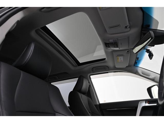 ランドクルーザープラド TX Lパッケージ・ブラックエディション 本革シート 寒冷地 記録簿 地デジ Pシート ナビ・TV DVD アルミホイール クルーズコントロール 横滑り防止装置 ミュージックプレイヤー接続可 ドライブレコーダー メモリーナビ LEDライト(9枚目)