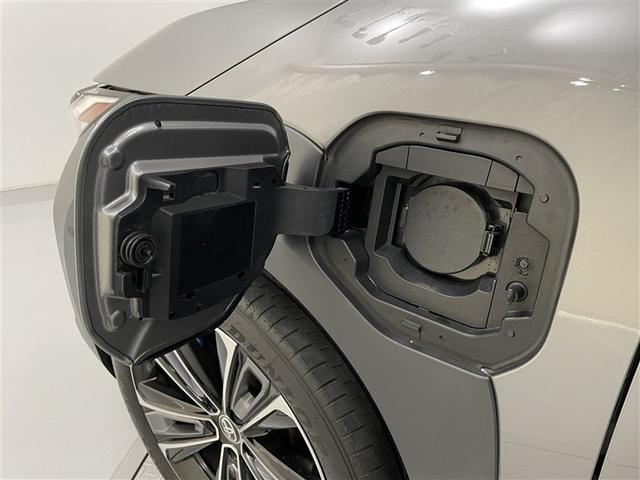 ����ȑ��Ɂw�}���[�d�|�[�g�x��ݒu�B���[�d���b�h���J������Ԃł��B