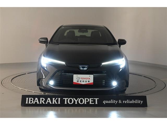 �����C�g��_�����Ă�����